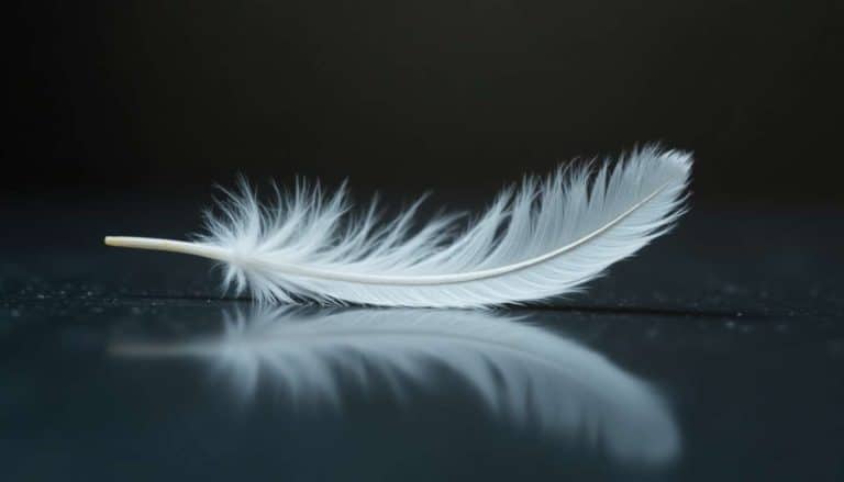Pourquoi les plumes blanches réconfortent-elles après la perte d'un être cher ?