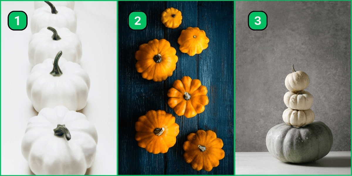 Découvrez si vous êtes plutôt sentimental ou détaché avec notre test de personnalité ! Choisissez simplement une citrouille !