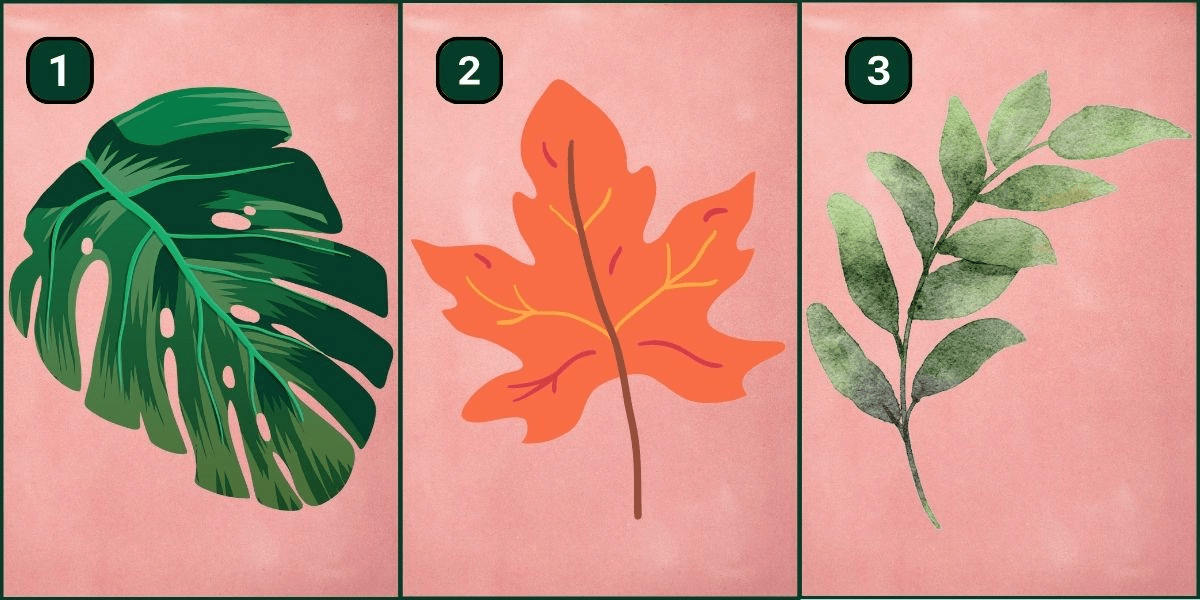 Test de personnalité : Découvrez si vous êtes plutôt calme ou anxieux en choisissant une feuille !