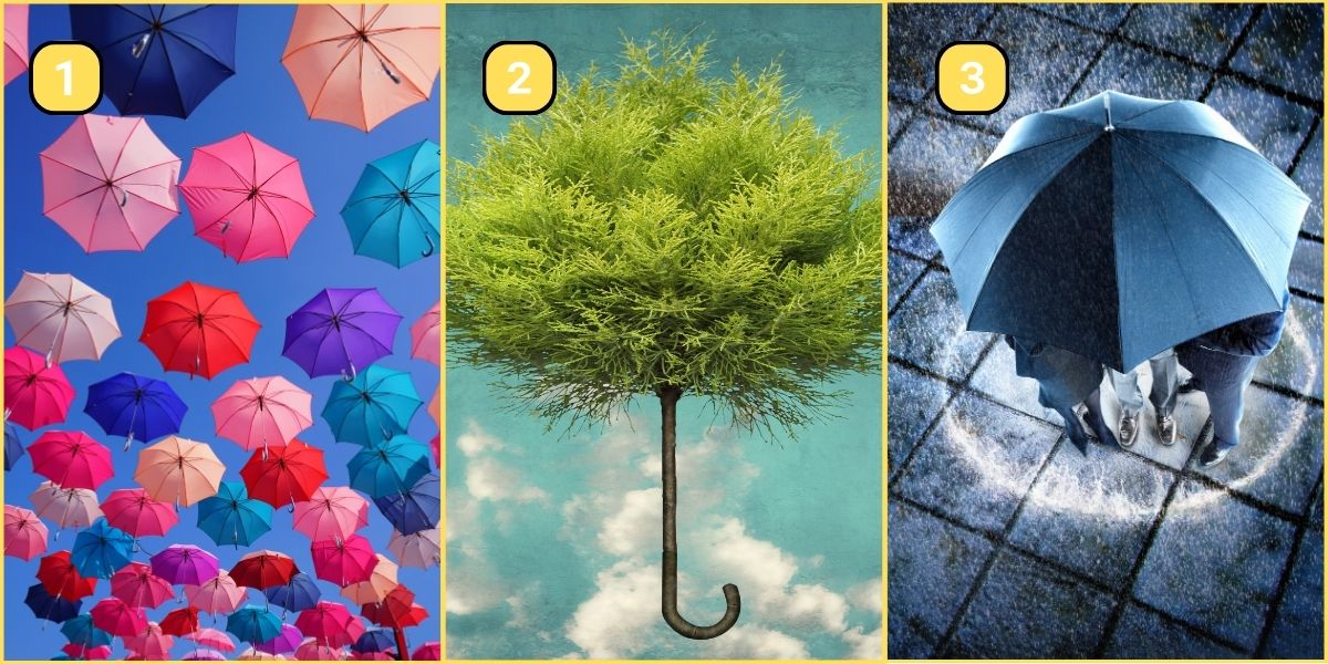 Test de personnalité : Êtes-vous impulsif ou tranquille ? Choisissez un parapluie et découvrez votre trait dominant !