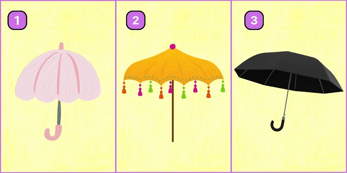 Test de personnalité : votre choix de parapluie indique si vous êtes compétitif ou coopératif ! Découvrez-le maintenant !