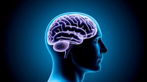 « Nous avons un cerveau reptilien » : la révélation scientifique qui bouleverse tout, préparez-vous à l'impensable choc psychologique humain